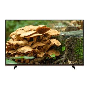 GRUNDIG PARIS 40 CLX 8675 BP