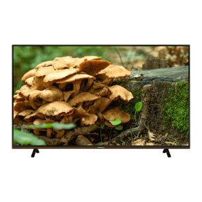 GRUNDIG PARIS 49 CLX 8675 BP